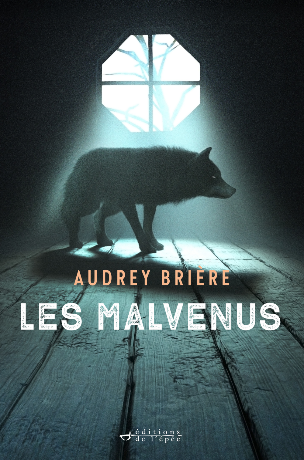 Acheter le livre numérique Les Malvenus par l'auteure Audrey Brière