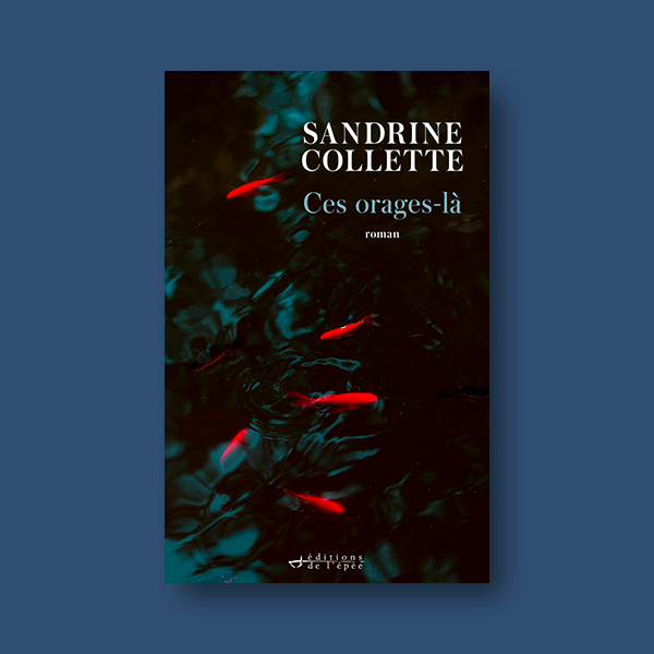 Livre numérique Ces orages-là de Sandrine Collette