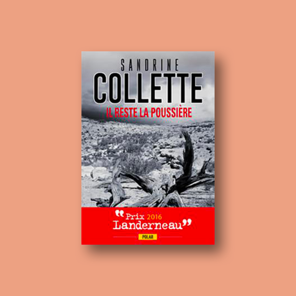 Livre numérique Il reste la poussière de Sandrine Collette